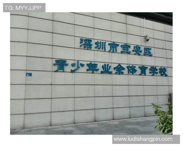 注册体育培训公司助力青少年健康成长与技能提升的全新探索