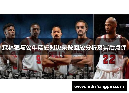 森林狼与公牛精彩对决录像回放分析及赛后点评