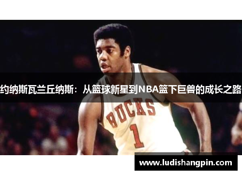 约纳斯瓦兰丘纳斯：从篮球新星到NBA篮下巨兽的成长之路